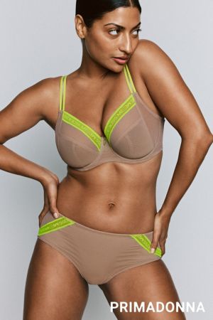 0542561 Ginger