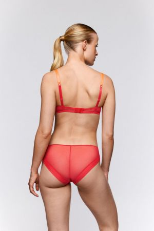 3501310 Hibiscus
