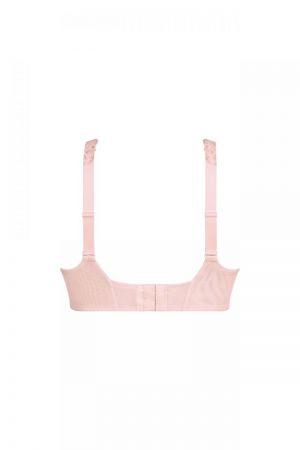 5253 wild Rose/128
